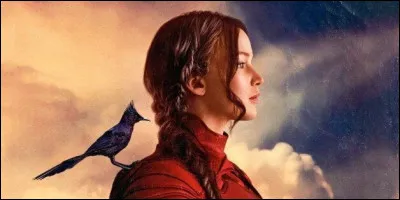 De quelle couleur sont tes cheveux ?