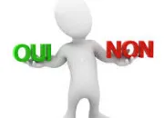 Quiz Le quiz du : oui ou non ? (51)