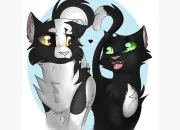 Quiz Les chats noir et blanc dans ''La Guerre des clans''