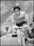 Coureur belge, j'ai gagn 5 Tours de France, presque conscutivement de 1969  1974. Considr comme le meilleur de tous les temps, avec 625 victoires, surnomm 'Le Cannibale', je suis...