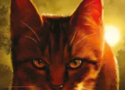 Quiz Connais-tu bien Étoile Fauve ?