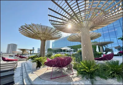 Quel pays d'Asie a pour capitale Doha ?