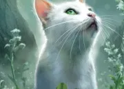 Quiz Personnage mystère du Clan du Vent ~ LGDC