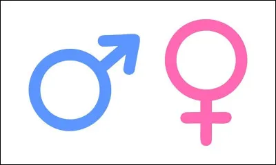 Le mot ''P&eacute;toire'' (mauvais fusil ou pistolet) est masculin ou f&eacute;minin ?