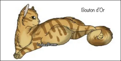 Qui est la s&oelig;ur d&rsquo;&Eacute;toile de Ronce ?