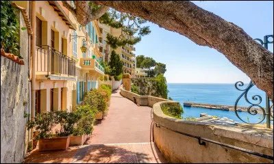 C'est un autre jour tu voyages quel pays choisis-tu ? 🌺