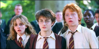 Quel est l'acteur de Harry Potter ?