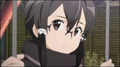Dans ''Sword Art Online'', qui est-elle ?