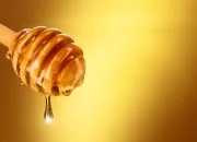 Quiz Gastronomie - Les plus grands producteurs de miel au monde en 2025