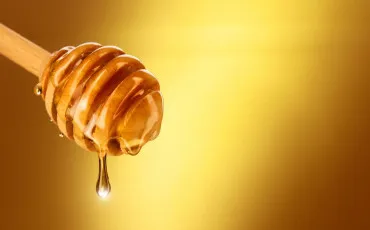 Quiz Gastronomie