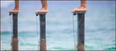 Quelle &eacute;mission d'aventure place des candidats sur une &icirc;le o&ugrave; ils doivent survivre tout en participant &agrave; des &eacute;preuves ?