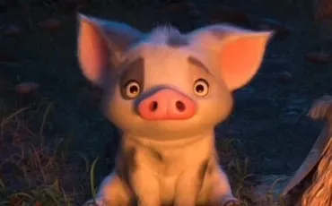 Quiz Animaux