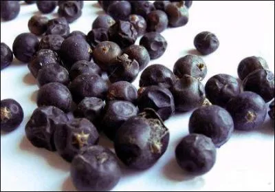 Quelle est cette pice ?