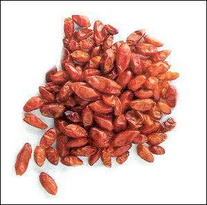 Quelle est ce piment ?