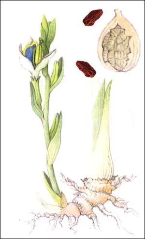 Quelle est cette pice ?