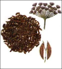 Quelle est cette pice ?