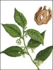 Quelle est cette pice ?