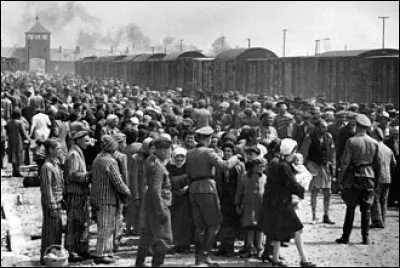 Combien de personnes sont mortes &agrave; Auschwitz ?