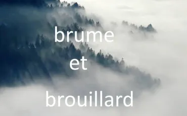Quiz Culture générale
