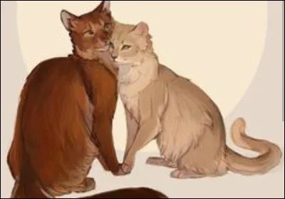 Combien de chatons ont-ils eus ?