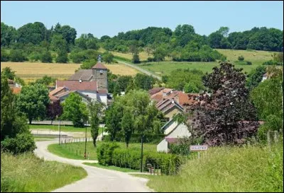 Pour finir, nous partons en Bourgogne-Franche-Comt&eacute;, &agrave; Vellefrie. Village de l'aire d'attraction V&eacute;sulienne, il se situe ...