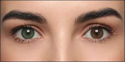 Quelle couleur d'&oelig;il pr&eacute;f&egrave;res-tu ?