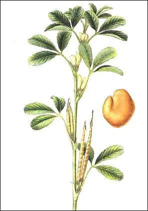 Quelle est cette pice ?