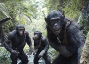 Quiz Animal, animal dans le LDM et l'homme ! Volet 2