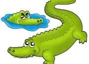 Quiz Culture générale autour du mot 'crocodile'