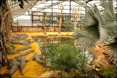 O&ugrave; se situe la ferme aux crocodiles ?