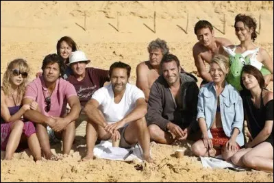 En 2010, dans le long m&eacute;trage "Les Petits Mouchoirs" de Guillaume Canet, lequel de ces artistes ne fait aucune apparition ?