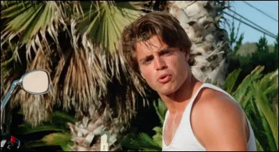 Termine les paroles : ''Mon bronzage n'est pas parfait / Quitt&eacute; les plages de Heyley''.