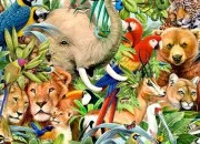 Quiz Les animaux en culture générale !