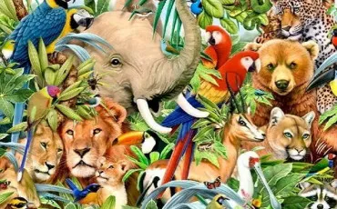 Quiz Animaux