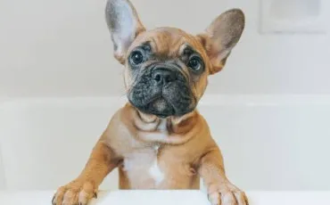 Quiz Test de personnalité