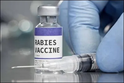 Qui a invent&eacute; le vaccin contre la rage ?