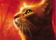 Quiz Connais-tu Étoile de Feu (2) ?