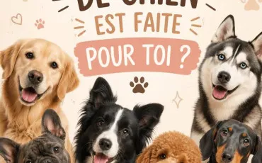 Quiz Test de personnalité
