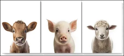 Quel est l'animal le plus sacr&eacute; en Inde ?