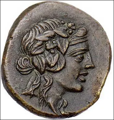 Mes attributs sont 'les pampres (branches de vigne) et la panthre' mon nom romain est Bacchus. Je suis le Dieu. .