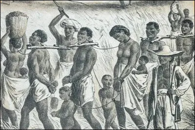 Dans les plantations, quel aliment &eacute;tait souvent consid&eacute;r&eacute; comme le repas du soir, faute de mieux ?