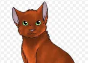 Quiz Connais-tu Étoile de Feu ? (3)