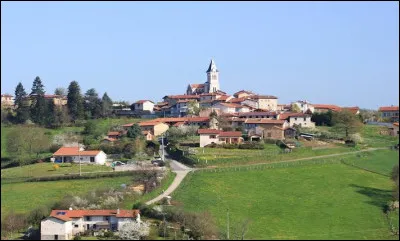 Village d'Auvergne-Rh&ocirc;ne-Alpes, dans l'arrondissement de Montbrison, Virigneux se situe dans le d&eacute;partement ...