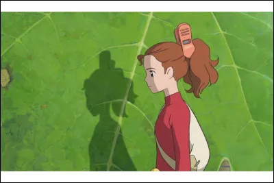 ''Arrietty : Le Petit Monde des Chapardeurs'' ~ Quel est le tout premier objet qu'Arrietty perd dans la chambre du gar&ccedil;on lors de sa premi&egrave;re mission ?
