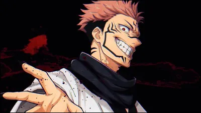 Num&eacute;ro 30 : Ryomen SukunaDe quel manga vient-il ?