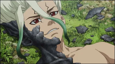 Num&eacute;ro 5 : Senku IshigamiC'est un g&eacute;nie ?