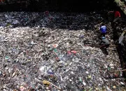 Quiz Écologie - Les pays les plus pollués du monde en 2025