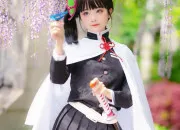 Quiz De quel manga est tiré ce cosplay ?