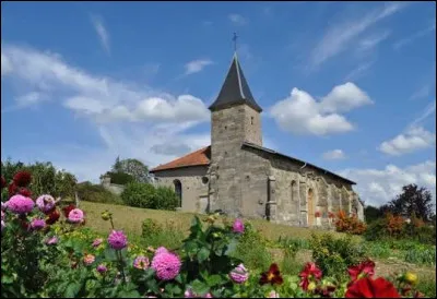 Voici l'&eacute;glise de la Nativit&eacute;-de-Notre-Dame, &agrave; Seigneulles. Village Meusien, sur les bords de la Ch&eacute;e, il se situe en r&eacute;gion ...