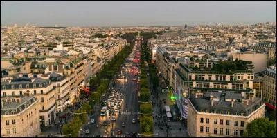 Qui a chant&eacute; &laquo;&nbsp;Les Champs-&Eacute;lys&eacute;es&nbsp;&raquo; ?
